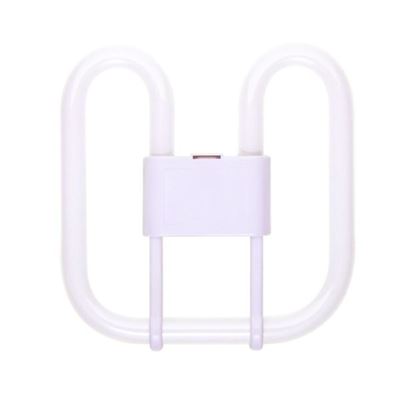 Picture of 04133  16watt 2D Lamp Cool White 4pin