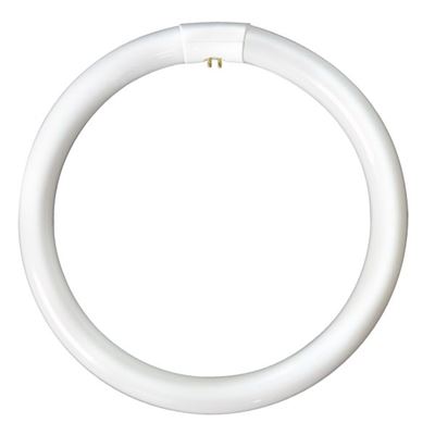 Picture of 04196  40w Circular Tube