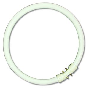 Picture of 05463   40w t5 Circular Tube