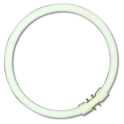 Picture of 05463   40w t5 Circular Tube