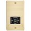 Picture of 115V/230V SHAVER SOCKET  PLATE
BLACK  INSERT BRUSHED BRASS