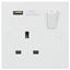Picture of 1gang switched Socket c/w USB Port
Knightsbridge