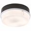 Picture of 28W 2D ROUND BLACK/OPAL BULKHEAD C/W LAMPKNIGHTSBRIDGE