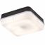 Picture of 28W 2D SQUARE BLACK/OPAL BULKHEAD C/W LAMPKNIGHTSBRIDGE