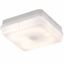 Picture of 28W 2D SQUARE WHITE/OPAL BULKHEAD C/W LAMPKNIGHTSBRIDGE