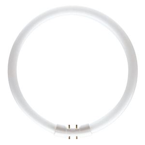 Picture of 22w t5 circular tube
T5 22 830 CIR