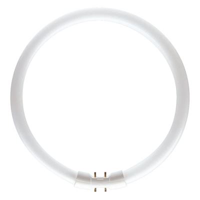 Picture of 22w t5 circular tube
T5 22 830 CIR