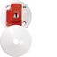 Picture of CR64AXCLICK EMERGENCY CEILING ROSEASHLEY ROCK