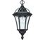 Picture of HANGING LANTERN 60W ES
DRAYTON SAXBY