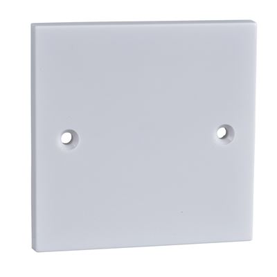 Picture of 1gang Blank Plate
get904