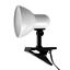 Picture of WHITE CLIP ON LIGHT FITTING R63
SUN