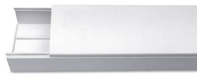 Picture of 100x100 Maxi Trunking