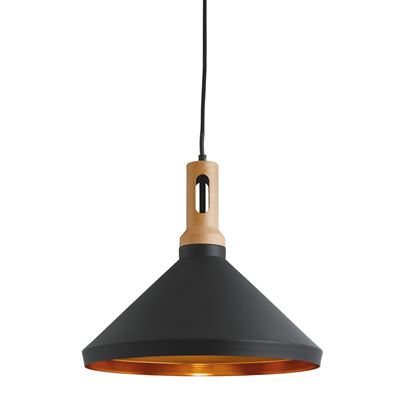 Picture of BLACK/WOOD PENDANT
60W ES