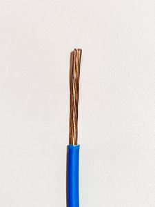 Picture of Cable Singles Stranded 10mm Blue
6491x