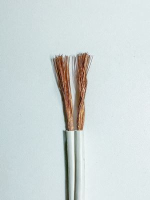 Picture of 79 Strand Speaker Cable
