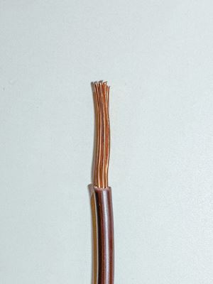 Picture of Cable Singles Stranded 10mm Brown
6491x