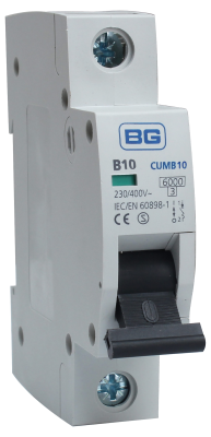 Picture of 10amp MCB for BG Fuse Board
BG.