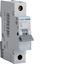 Picture of 16amp MCB Hager