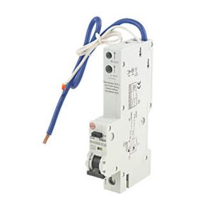 Picture of 16amp SP Type B 16ka RCBO
WYLEX